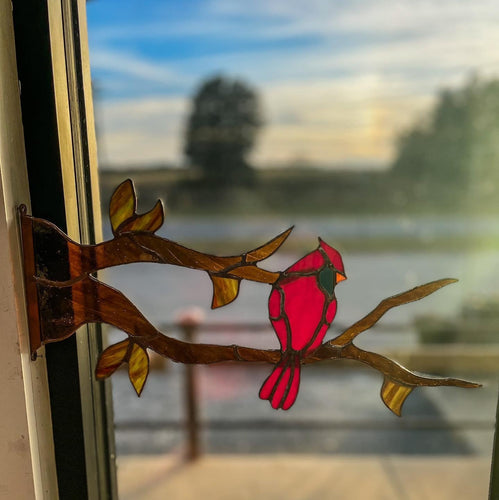 Red Bird on branch