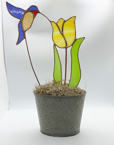 Tulip with Hummingbird in Pot