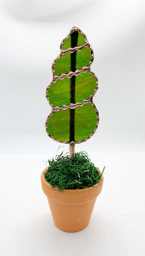 Mini Topiary
