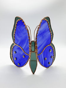 Kelsey 3D Butterfly on Stand