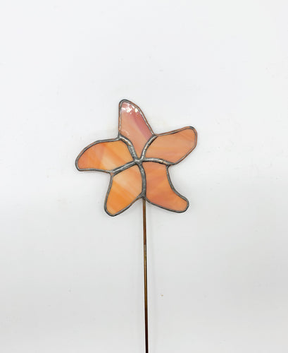 Starfish on Rod