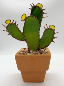 Sm Cactus