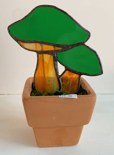 Mushrooms in Pot