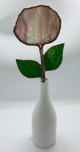 Hydrangea
