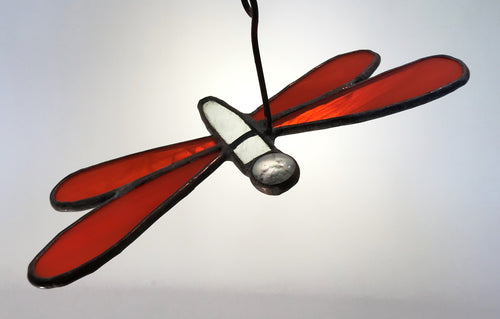 Dragonfly with Bead Eye
