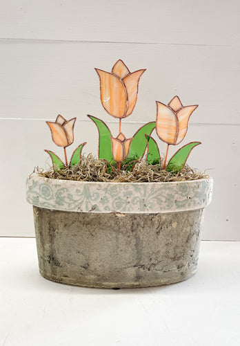 Tulip Garden