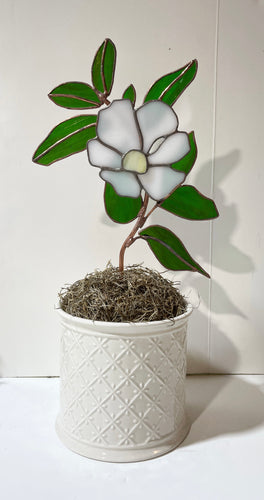 Magnolia on Stem