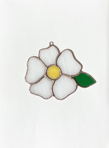 Cherokee Rose