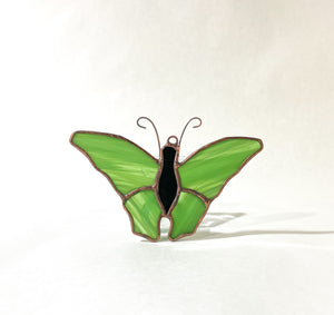 3 1/2 inch Butterfly