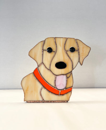 Golden Retriever/ Lab head with Tag